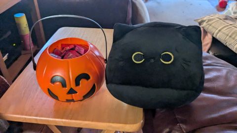 All Hallows Day (2024) - Love my cute candy pumpkin and black cat squishmellow! 